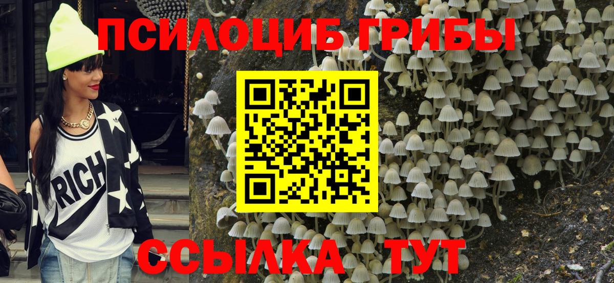 Новокубанск  Псилоцибиновые грибы ЛСД  Вход с VPN 